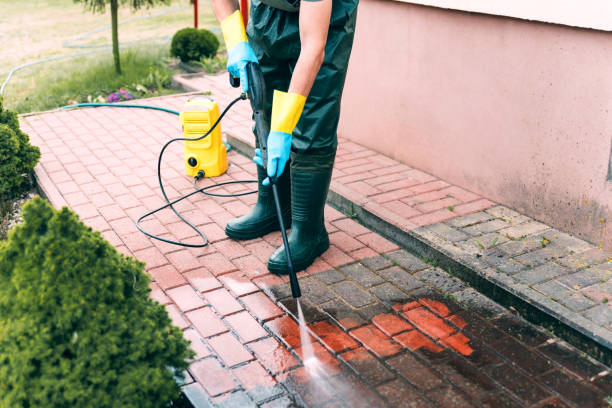 Best Solar Panel Cleaning  in Seabrook, MD